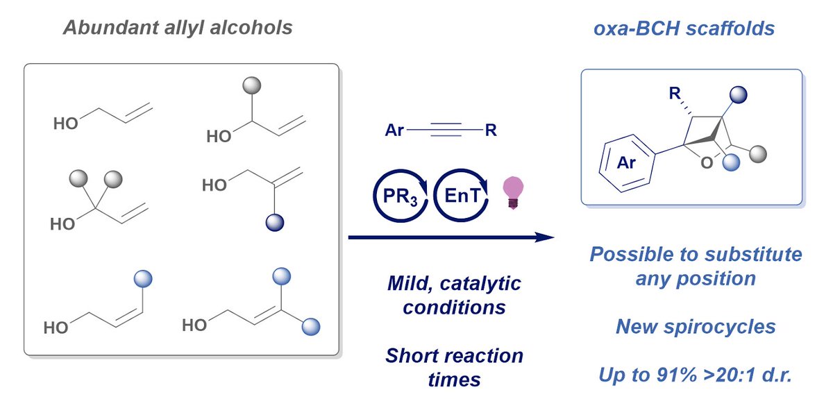 DavidWorley94's tweet image. Proud to share my first paper as corresponding author from my postdoc at @ASTRAZENECAUK. We found a way to make oxa-BCH rings from simple allyl alcohols in a fast cascade reaction, with control of substitution at every position. @ChemicalScience surl.li/xigpdh
