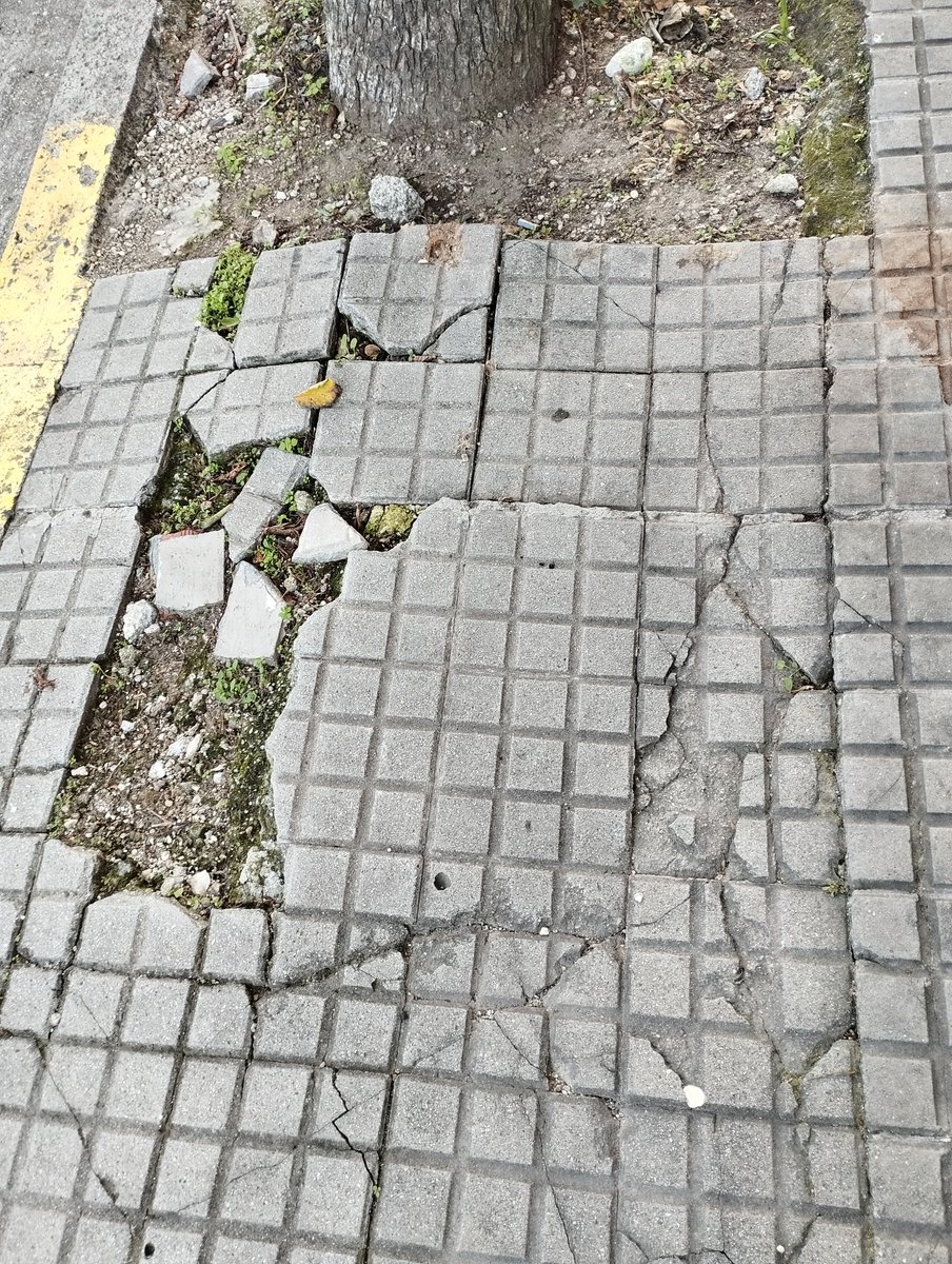 Nos ha enviado esta misma mañana una persona con movilidad reducida estas fotografías del estado en el que se encuentra el entorno del Hospital Modelo en Riazor para que le demos difusión, pues lo lleva tiempo denunciando a <a href="/ConcelloCoruna/">Concello da Coruña</a> e <a href="/inesreygarcia/">Inés Rey</a> sin respuesta alguna 👇