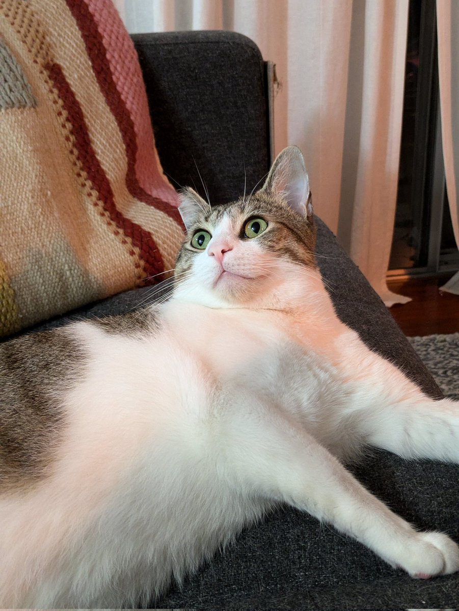 Beefaroni & Marvin 🍖 tweet media