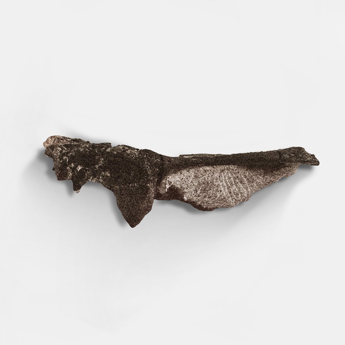 The 150,000,000 yr old Stegosaurus rookie card…

1️⃣- tail spikes 
2️⃣- back plate
3️⃣- thibula-fibula 
4️⃣- skull fragment