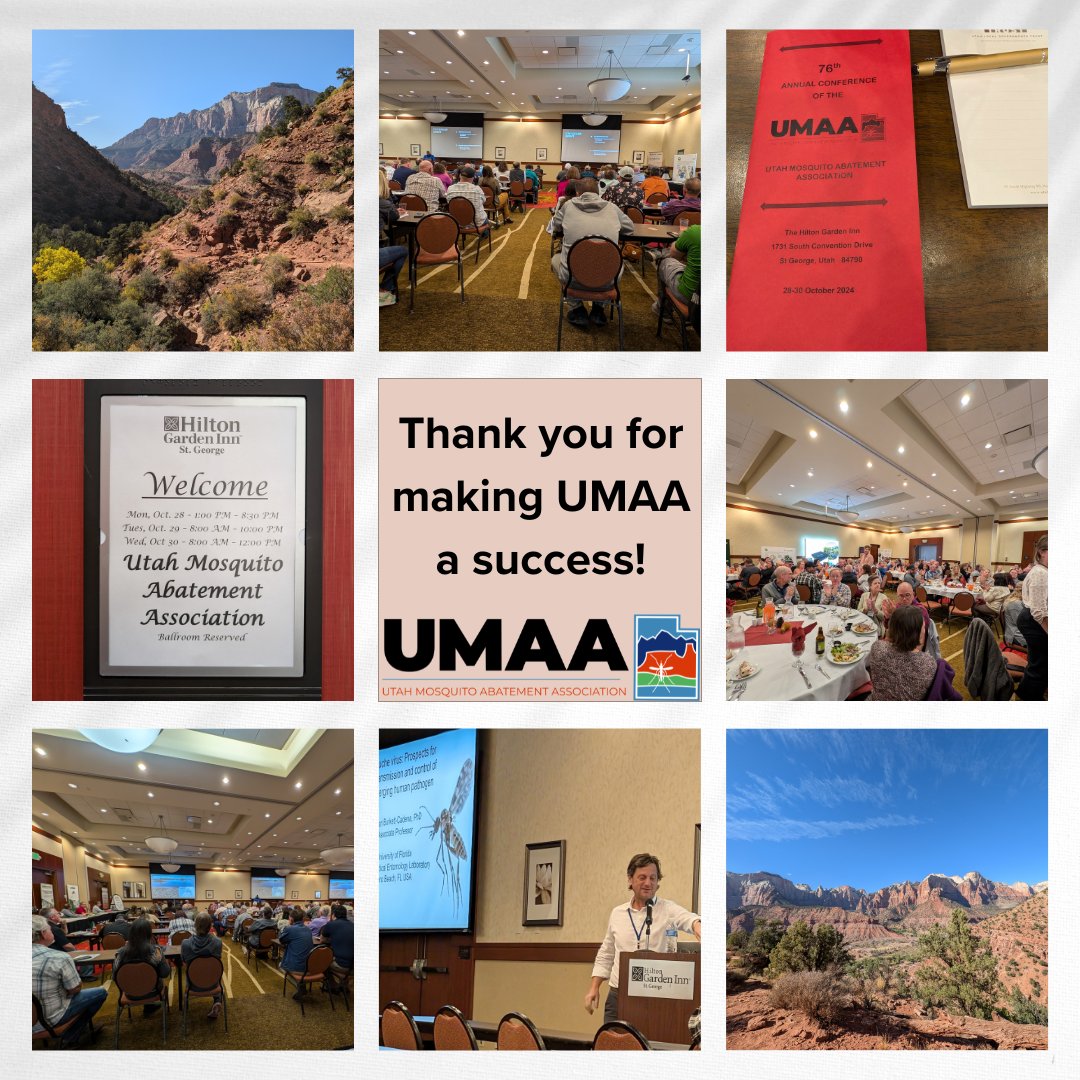 A look back on last week's UMAA 76th annual conference in St. George! Thank you to all of our speakers, attendees, organizers, and sponsors! 👏
Have photos from the conference? Tag us!
#UMAA #mosquitoes #utahmosquitoabatementassociation