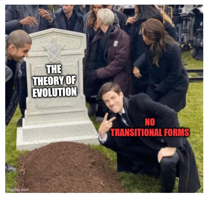 NotEvolution1's tweet photo. A dead theory is not a scientific theory, but belief makes it religion https://t.co/8tyWJmNA4H