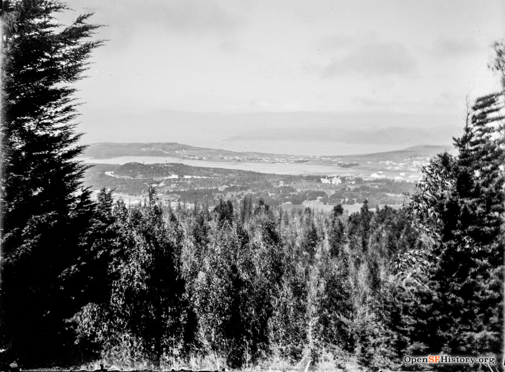 Western Neighborhoods Project tweet media