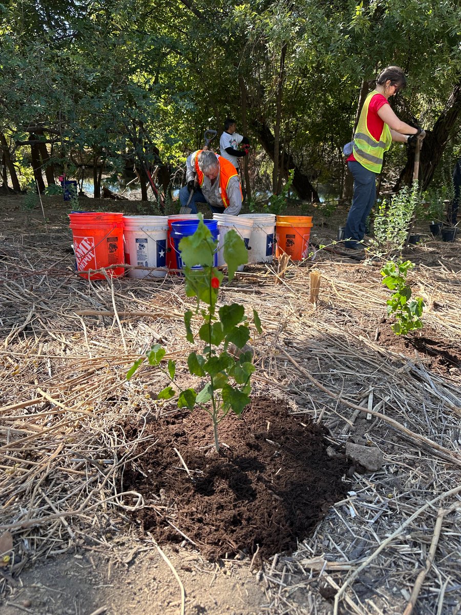 TreeFolks tweet media