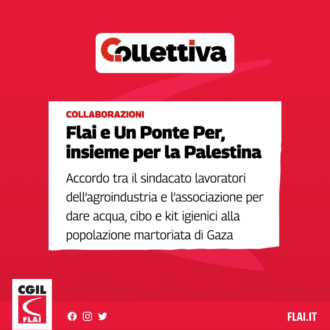 FLAI-CGIL (@flaicgil) on Twitter photo La nostra solidarietà concreta, grazie all'intesa con <a href="/UnPontePer/">Un Ponte Per</a>
L'articolo su <a href="/collettiva_news/">Collettiva</a> 👇
collettiva.it/copertine/inte… La nostra solidarietà concreta, grazie all'intesa con <a href="/UnPontePer/">Un Ponte Per</a>
L'articolo su <a href="/collettiva_news/">Collettiva</a> 👇
collettiva.it/copertine/inte…