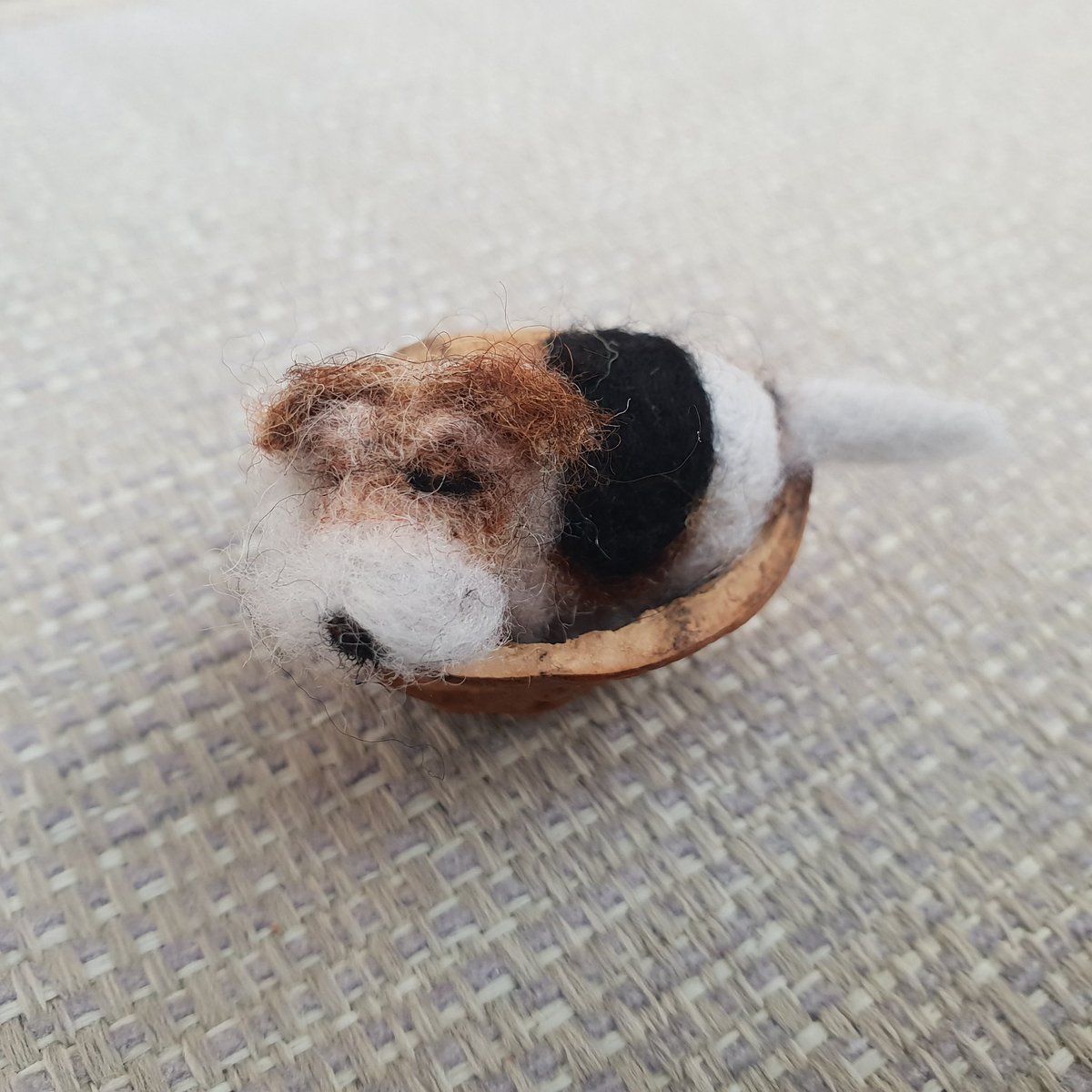 RockingFelter's tweet photo. Hello,
Please meet Poppy…an adorable and absolutely sleepy little Wire Haired Fox Terrier! She loves her walnut shell bed. This gorgeous creation is now ready to adopt!
Thank you ❤️
https://t.co/ogkIv5uHTI
#etsy #whft #dogs #dogsoftwitter #dogsofX #ukmakers #firsttmaster https://t.co/Uhfz8ObPCR