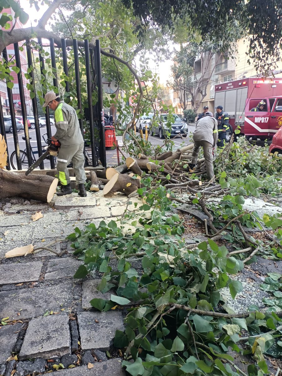 Luis Santamaría tweet media