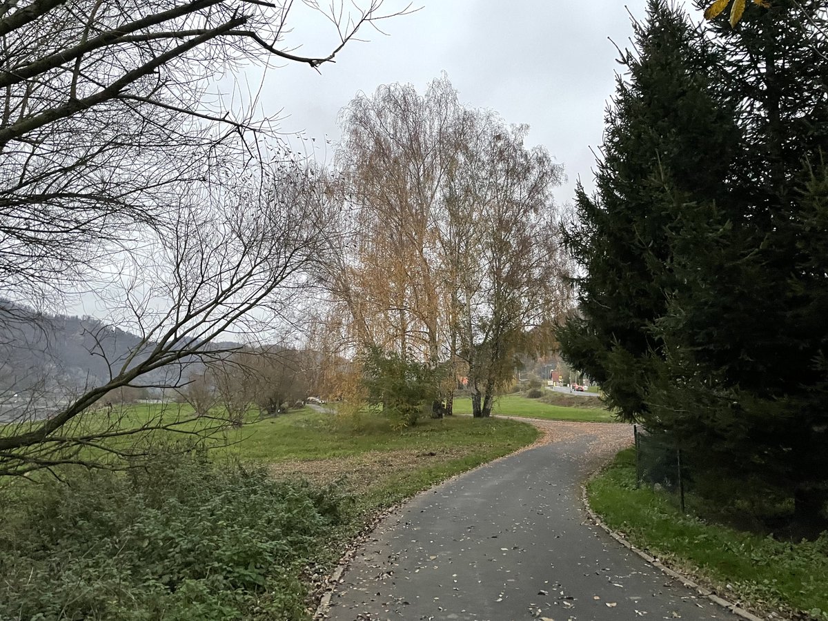 🐕 and I completed a 2.44km Walk for Beatrice 🥷 #NunsRunTheWorld &amp; #WarriorNunRun!

We've run 25274km.

Log yours tinyurl.com/nun-run

 #SaveOURWarriorNun #FreePalestine prostřednictvím <a href="/NunsRunTheWorld/">#NunsRunTheWorld 🇵🇸</a>