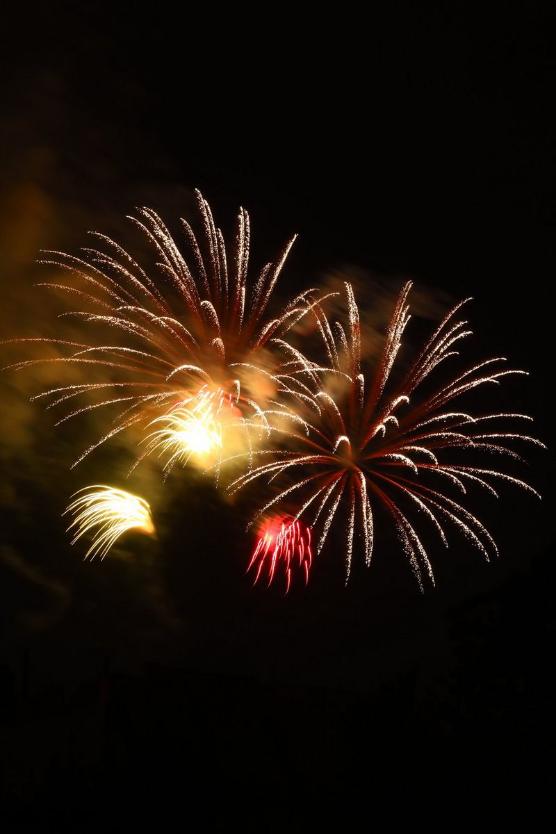 CanonUKandIE's tweet photo. Are you going to be capturing firework pics tomorrow?

Check out these last minute tips for explosive firework photography 👉 https://t.co/DYnhoSZCnp

🎇📷🎆 https://t.co/5JqNho5O7C