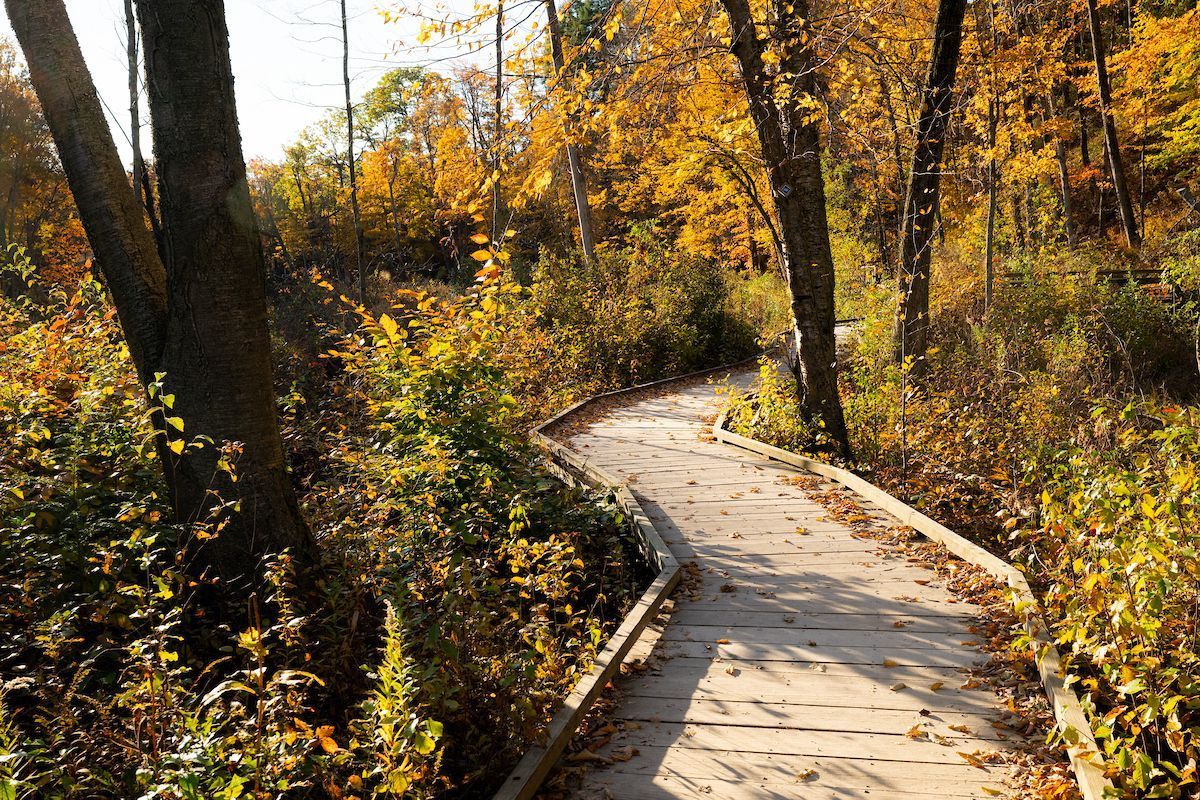 Cleveland Metroparks tweet media