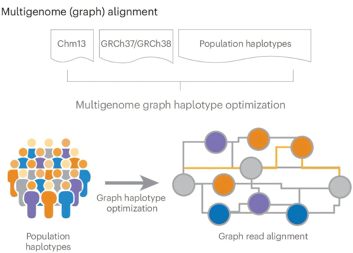 Nature Biotechnology (@naturebiotech) on Twitter photo <a href="/sedlazeck/">Fritz Sedlazeck</a> <a href="/mehio_rami/">Rami mehio</a> <a href="/SCatreux/">Severine Catreux</a> <a href="/srbehera11/">Sairam Behera</a> <a href="/BCM_HGSC/">BCM HGSC</a> <a href="/illumina/">Illumina</a> <a href="/bcmgenetics/">BCM Department of Molecular and Human Genetics</a> <a href="/bcmhouston/">BCMHouston</a> <a href="/RiceCompSci/">Rice Computer Science</a> Validation testing of next-gen genome analysis platform reveals potentially disruptive tech #NBTintheNews via <a href="/physorg_com/">Phys.org</a> phys.org/news/2024-11-v… <a href="/sedlazeck/">Fritz Sedlazeck</a> <a href="/mehio_rami/">Rami mehio</a> <a href="/SCatreux/">Severine Catreux</a> <a href="/srbehera11/">Sairam Behera</a> <a href="/BCM_HGSC/">BCM HGSC</a> <a href="/illumina/">Illumina</a> <a href="/bcmgenetics/">BCM Department of Molecular and Human Genetics</a> <a href="/bcmhouston/">BCMHouston</a> <a href="/RiceCompSci/">Rice Computer Science</a> Validation testing of next-gen genome analysis platform reveals potentially disruptive tech #NBTintheNews via <a href="/physorg_com/">Phys.org</a> phys.org/news/2024-11-v…
