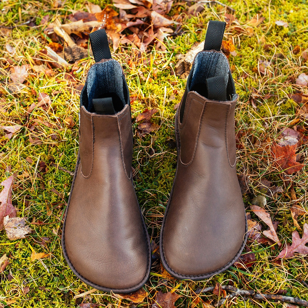 Softstar Shoes tweet media