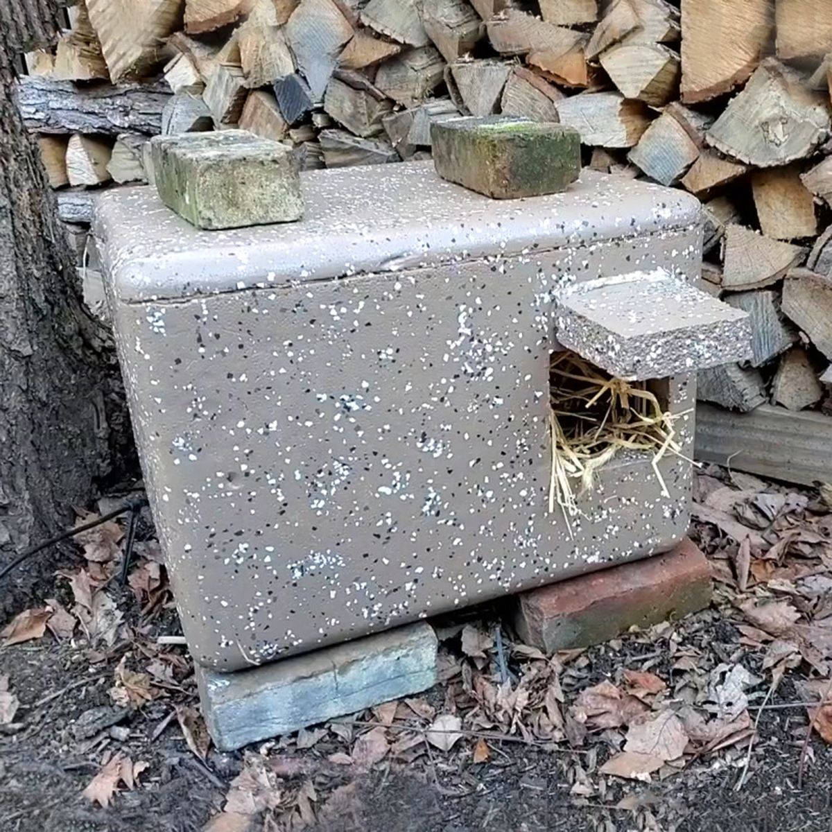 Learn how to build Design 1: Super Simple Foam Box Shelter, plus 3 other kinds of simple winter shelters for #feralcats #communitycats, at free #webinar on 11/13. Register: buff.ly/48vvaan ❄️🏠💙🐱🐈🐾 #tnr <a href="/Bideawee/">Bideawee</a> #WinterShelterWednesday