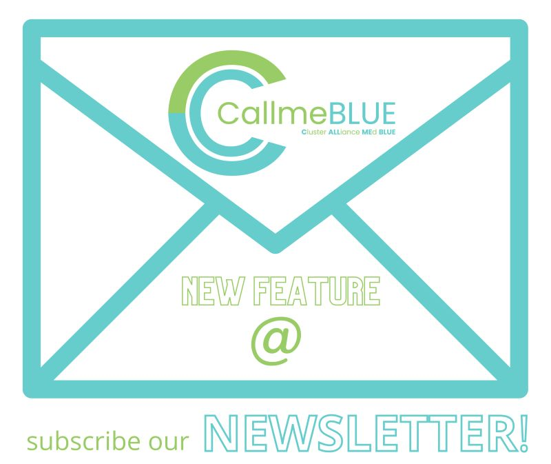 CallmeBLUE tweet media