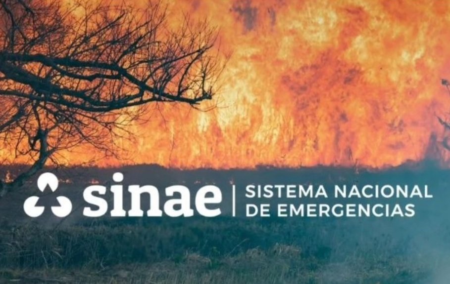 COMENZÓ A REGIR EL DECRETO QUE PROHÍBE LA REALIZACIÓN DE QUEMAS AL AIRE LIBRE
cronicasdeleste.com.uy/Noticias/quema…
