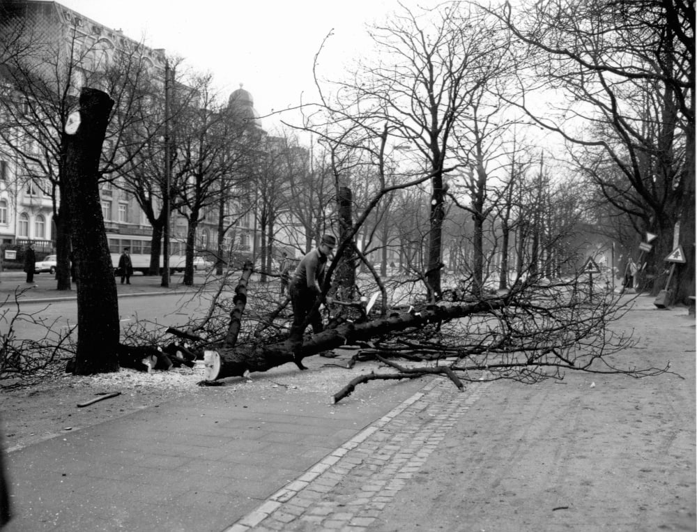 Simone - @simpalla.bsky.social tweet media