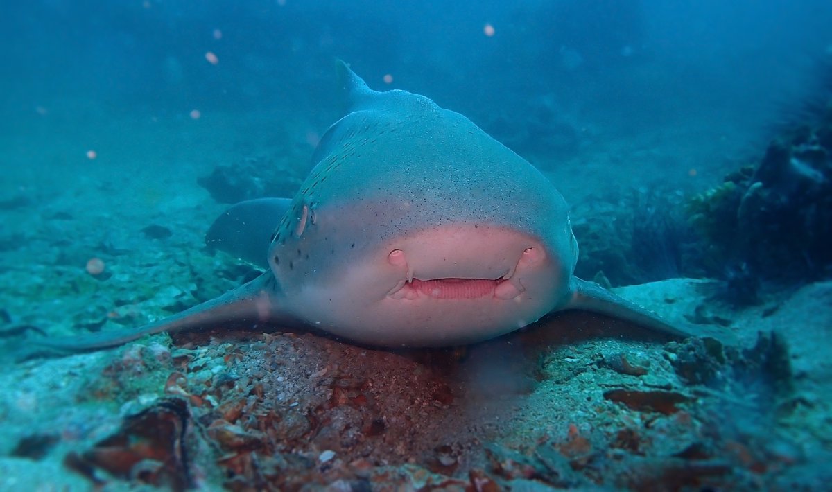 Jeremy Roberts tweet media