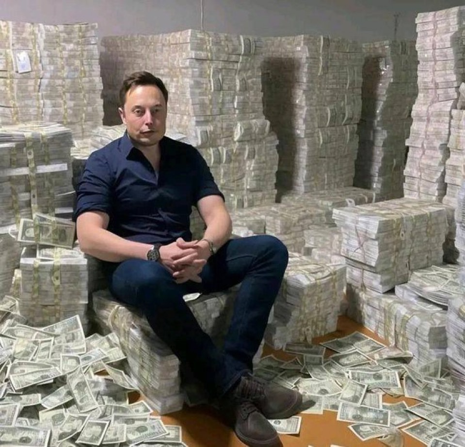 Not Elon Musk tweet media