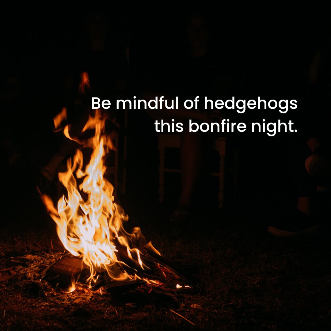 Only build your bonfire on the day you plan to light it.
Move it a few meters just before lighting.
Always, always check your bonfire pile before lighting! 

For more information, check out this great article by the British Hedgehog Preservation Society: britishhedgehogs.org.uk/rememberhedgeh…