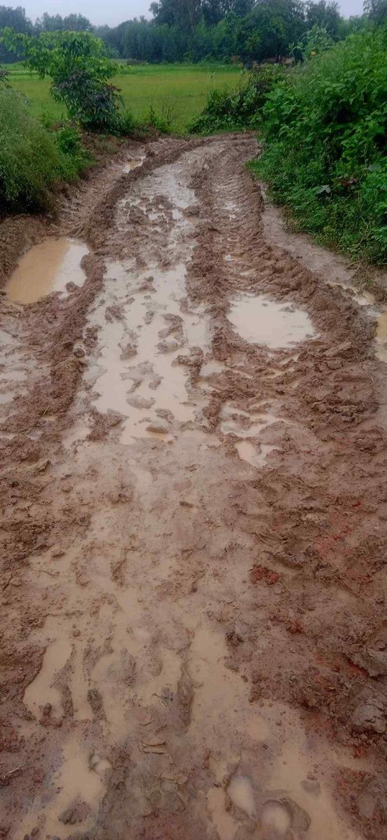 SanjuktaChoudh5's tweet photo. District : Bankura
Block : Patrasayer
Village : Danga
October 2024
সত্যিই উন্নয়ন রাস্তায় দাঁড়িয়ে আছে ...
#DevelopmentInBengal
#উন্নয়ন
#WestBengal #TMC #MamataBanerjee https://t.co/lLCgvEYC7a