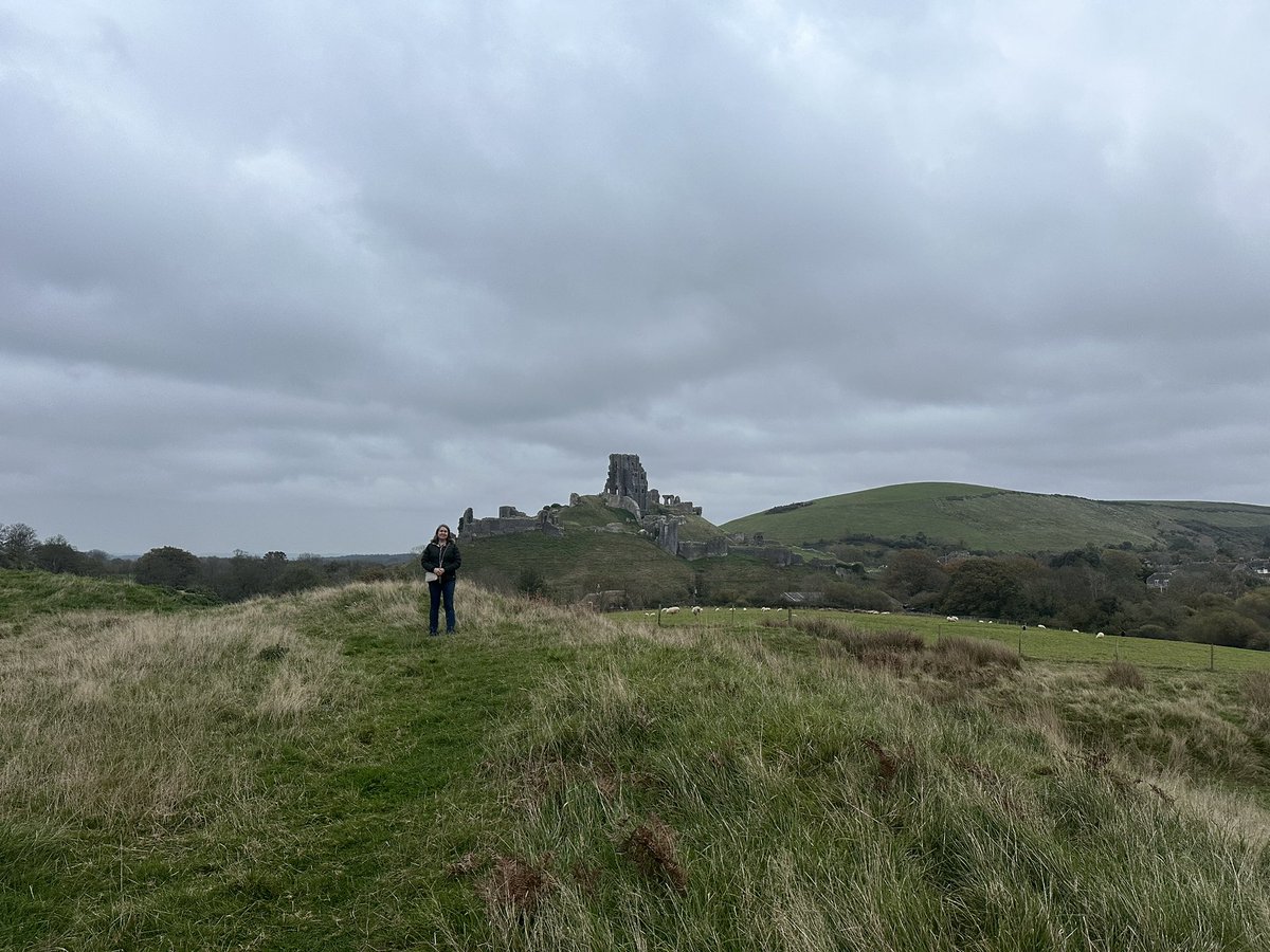 ENortonHistory's tweet image. Exploring the remains of a second, temporary castle close to Corfe Castle, which was probably built by King Stephen during his siege of Corfe in 1139, which was held by Empress Matilda #theanarchy #corfe #corfecastle #therings