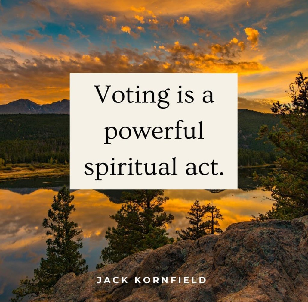 Voting is a powerful spiritual act. It’s an act of renewal to say, “We’re going to set the direction again, and these are my values.”

🧘✨🗳️✨🌎

#spiritualpath #mindfulness #meditation #buddhism #spirituality #compassion #understanding #voting
