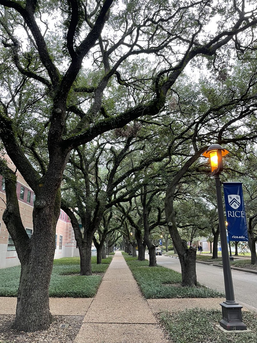 Thomas J. Kempa (@tomkempa) on Twitter photo Excited to give another talk about our new platform for quantum emitters and to learn about new ways of integrating emerging materials and qubit candidates into quantum systems.
<a href="/RiceUniversity/">Rice University</a> #Workshop_Functional_Quantum_Defects Excited to give another talk about our new platform for quantum emitters and to learn about new ways of integrating emerging materials and qubit candidates into quantum systems.
<a href="/RiceUniversity/">Rice University</a> #Workshop_Functional_Quantum_Defects