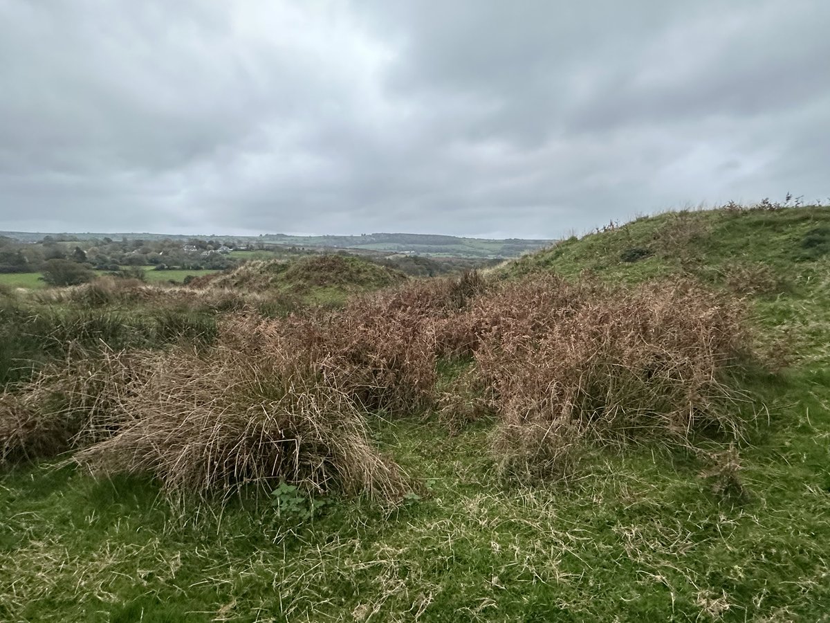 ENortonHistory's tweet image. ‘The Rings’, the remains of two small circular bank and ditch enclosures around 250m from Corfe Castle in Dorset. It is thought that the structure is the remains of a siege castle built by Kjng Stephen during his siege of Corfe in 1139 #therings #siegecastle #corfe #corfecastle