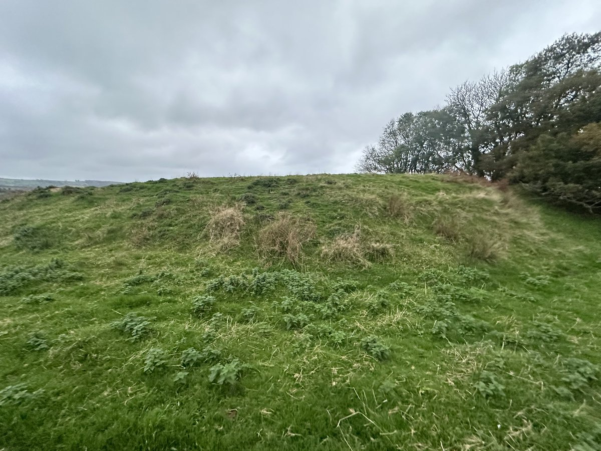 ENortonHistory's tweet image. ‘The Rings’, the remains of two small circular bank and ditch enclosures around 250m from Corfe Castle in Dorset. It is thought that the structure is the remains of a siege castle built by Kjng Stephen during his siege of Corfe in 1139 #therings #siegecastle #corfe #corfecastle