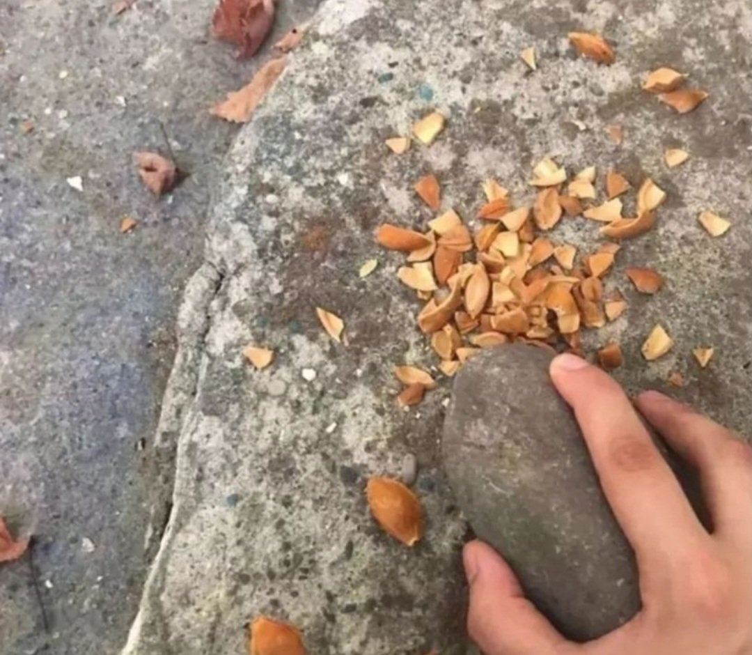 Bunu sadece malatyalılar bilir...