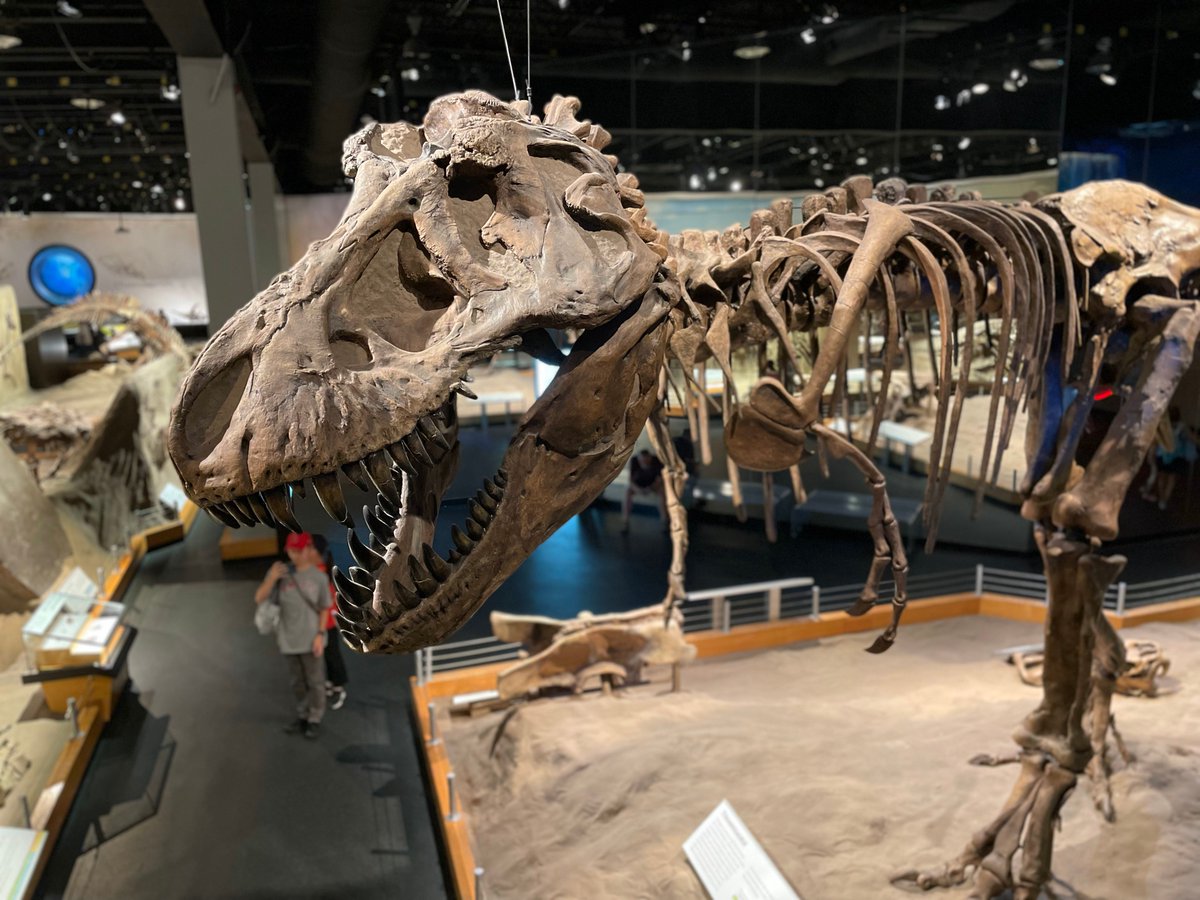 Get out of the house and discover Alberta History with this pass!
For just $125/family you get unlimited access to 15 Alberta museums
Get details at albertamamas.com/experience-alb…
P.S. These make a great Christmas gift in the form of a museum gift card!