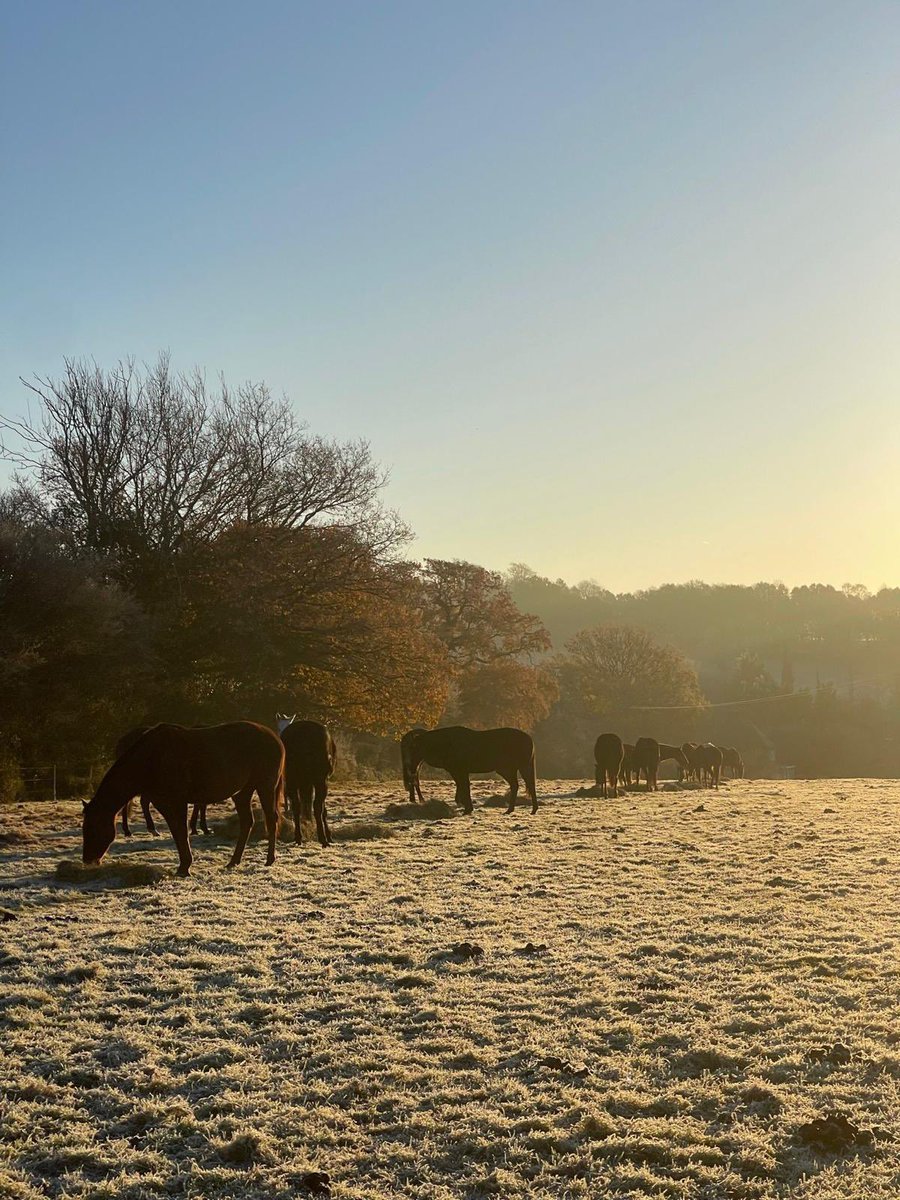 Cowdray Park Polo Club tweet media