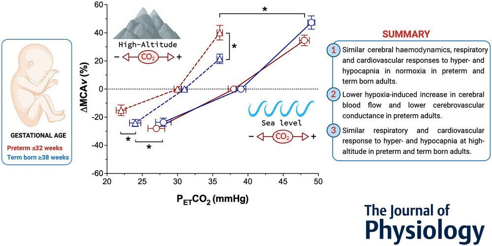 Journal of Physiology (@jphysiol) on Twitter photo Research by <a href="/GManferdelli/">Giorgio Manferdelli</a> (@unilsport) et al. investigates impaired #cerebrovascular CO2 reactivity at high #altitude in prematurely born adults ๐๏ธ๐ซ
Read the full article here: buff.ly/48GUSsI Research by <a href="/GManferdelli/">Giorgio Manferdelli</a> (@unilsport) et al. investigates impaired #cerebrovascular CO2 reactivity at high #altitude in prematurely born adults ๐๏ธ๐ซ
Read the full article here: buff.ly/48GUSsI