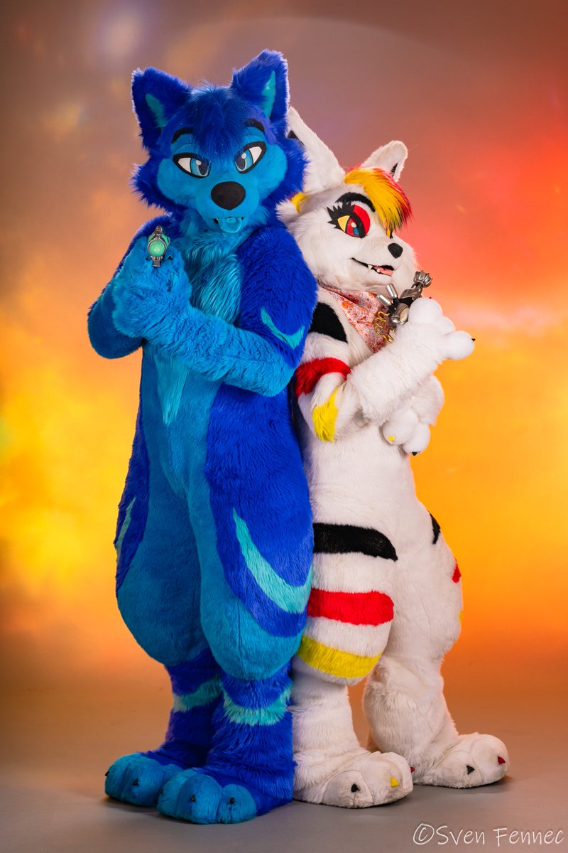 A Fennec Fox and a Husky together.. 
Definitely double trouble! 
📸: @/SvenFennec
#furry #furries #furryfandom #furrycommunity #fursuit #fursuiter #Furpocalypse #Furpoc #foryoupage #fyp