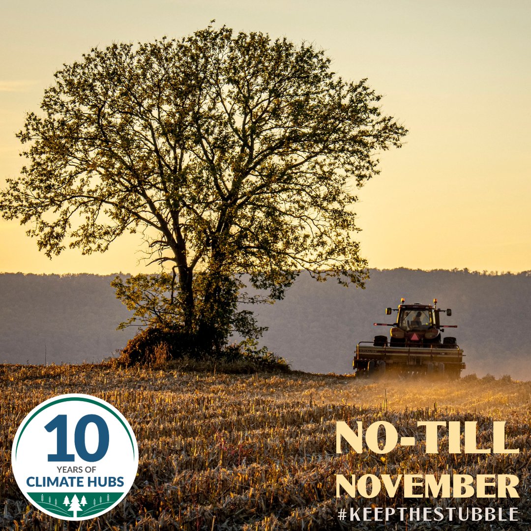 USDAClimateHubs's tweet photo. At the USDA Climate Hubs, we think fields look good with a little bit of stubble. Celebrate #notillnovember with us and learn about how no-till farming can strengthen climate resilience.
https://t.co/vfdxfxk7YN https://t.co/9aMLhD6YEQ