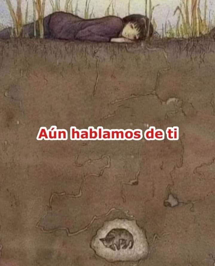 Memes Universidad Nacional tweet media
