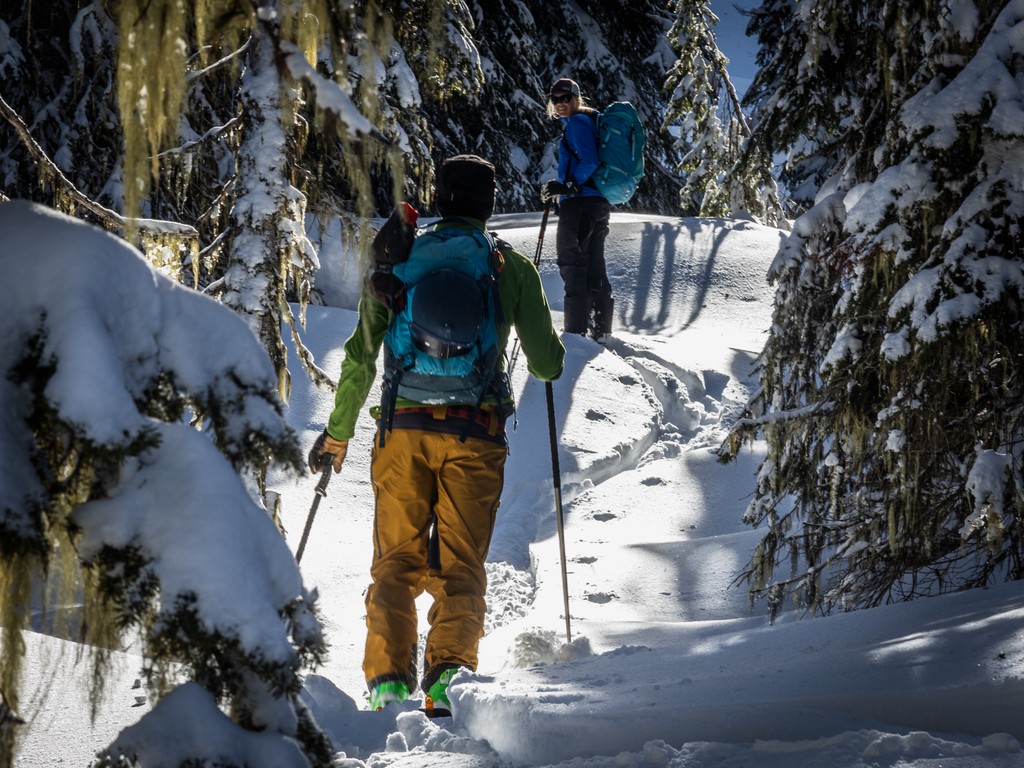 As winter approaches, we want to hear about your next snowy adventures! 
•
•

#skiing #ski #skis #winter #mountains #peaks #adventure #powday