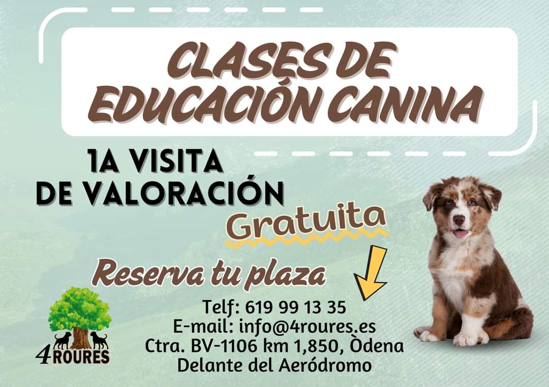 Club_4Roures's tweet photo. ¿Por qué elegir 4 Roures? Por varios motivos, uno de ellos es que la 1a visita de Evaluación es GRATUITA!
Llamas o envías WhatsApp al 619 99 13 35 y Virginia gustosamente te atenderá. Ella os dará día y hora con vuestro peludo de 4 patas para hacer dicha 1a visita. https://t.co/FFZ6FBMjte
