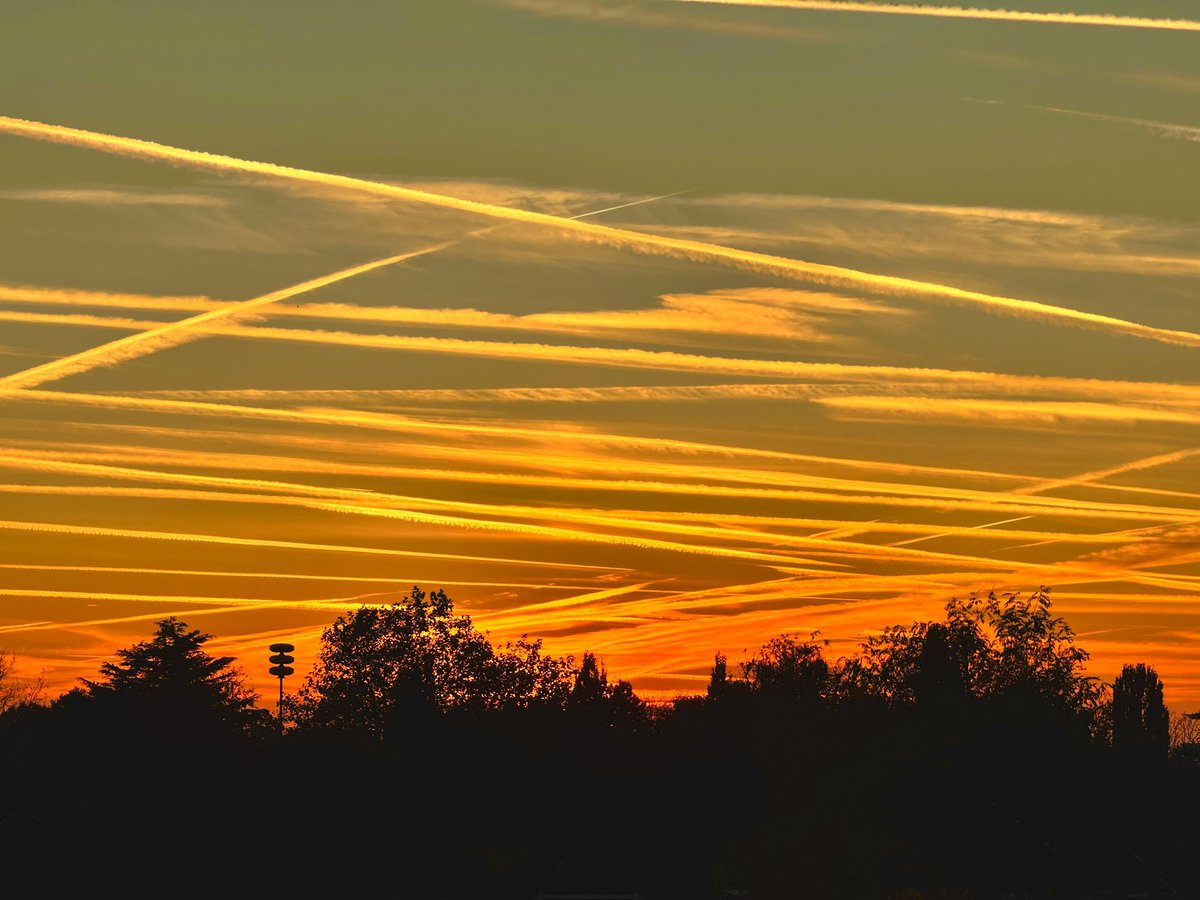 Bjoetiefoel! #avondrood