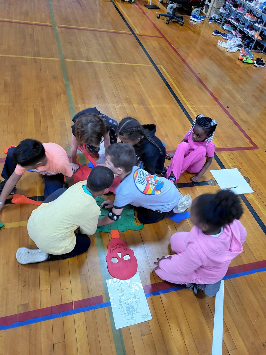 HoweSCSD's tweet photo. What a great PE teamwork activity during the week of Halloween. Students worked as a team to put together a human skeleton. Look at these Hawks Soaring. #HoweHawks @HoweSCSD  @SCSchools https://t.co/rMlnZrydIa