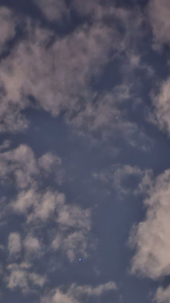 MayaFennec's tweet image.