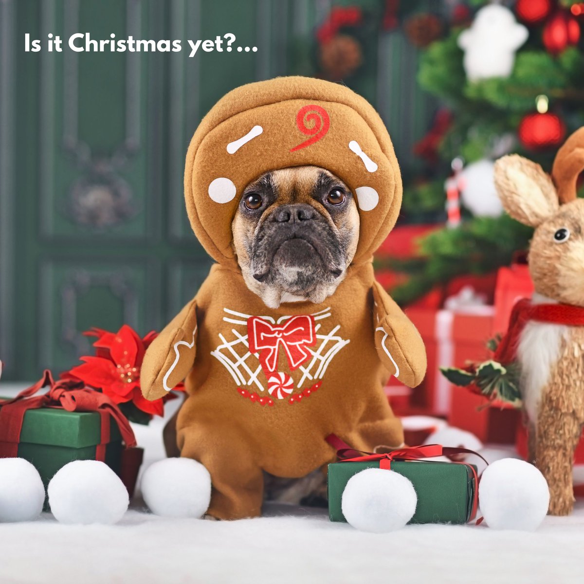 FellowsandAssoc's tweet photo. 📣 JUST IN....

Newly/Nearly Qualified Patent Attorney in physics (or related areas) needed, based in London!

Find out more here: https://t.co/VfoxYFB9qT

#Christmas #November1st #Patent #Physics #IntellectualProperty https://t.co/cMXVD4aIiA