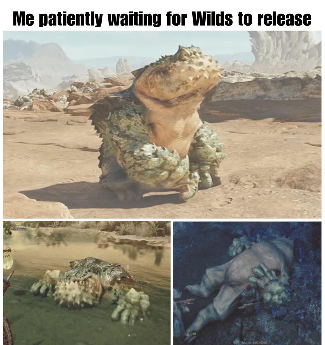 QuirklessStoner's tweet photo. Three stages of Chatacabra https://t.co/hwBCX1DAyV