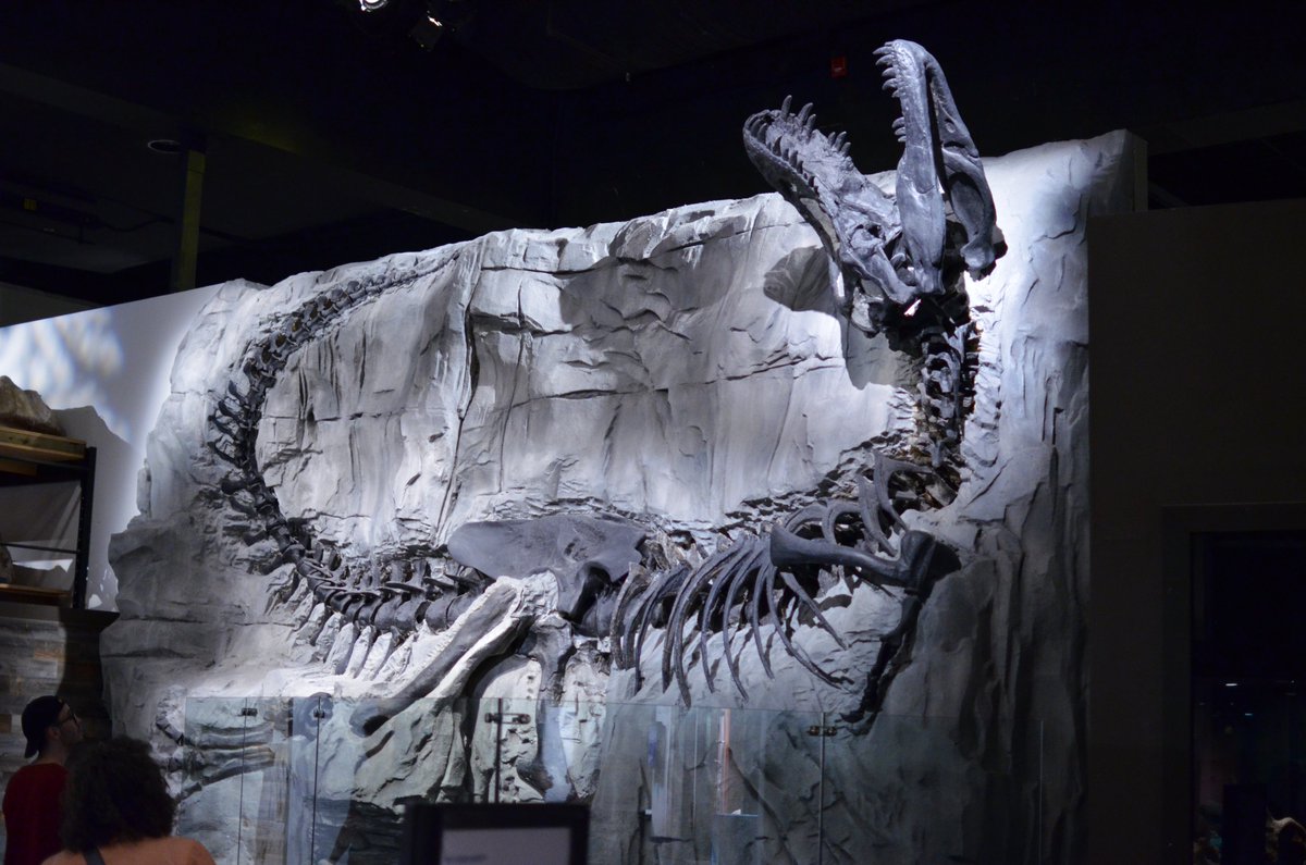 DYK? The Royal Tyrrell Museum has sleepovers!
Grab the details at: albertamamas.com/book-your-slee…