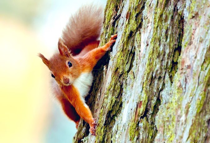 Nigel Witham tweet media