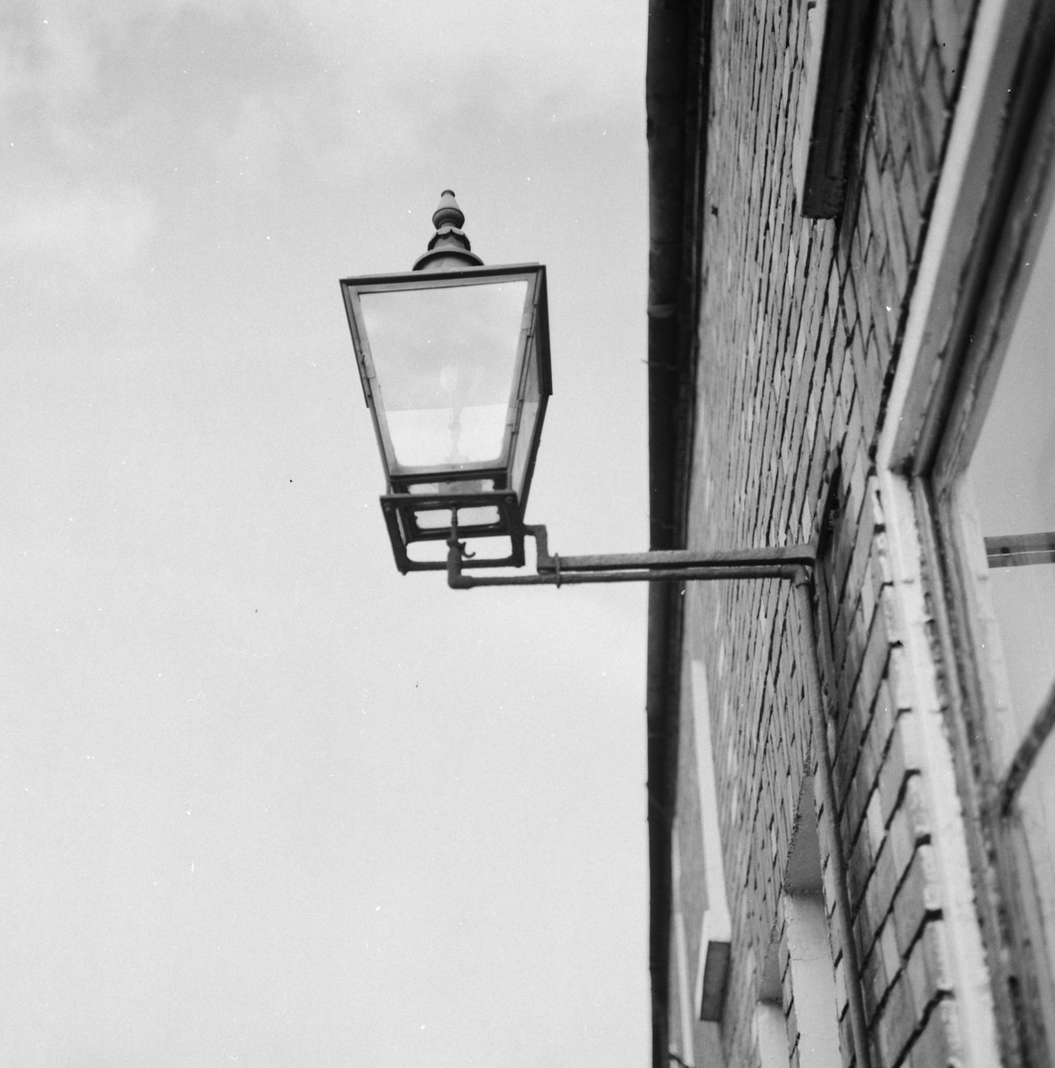 Victoria Millar tweet media