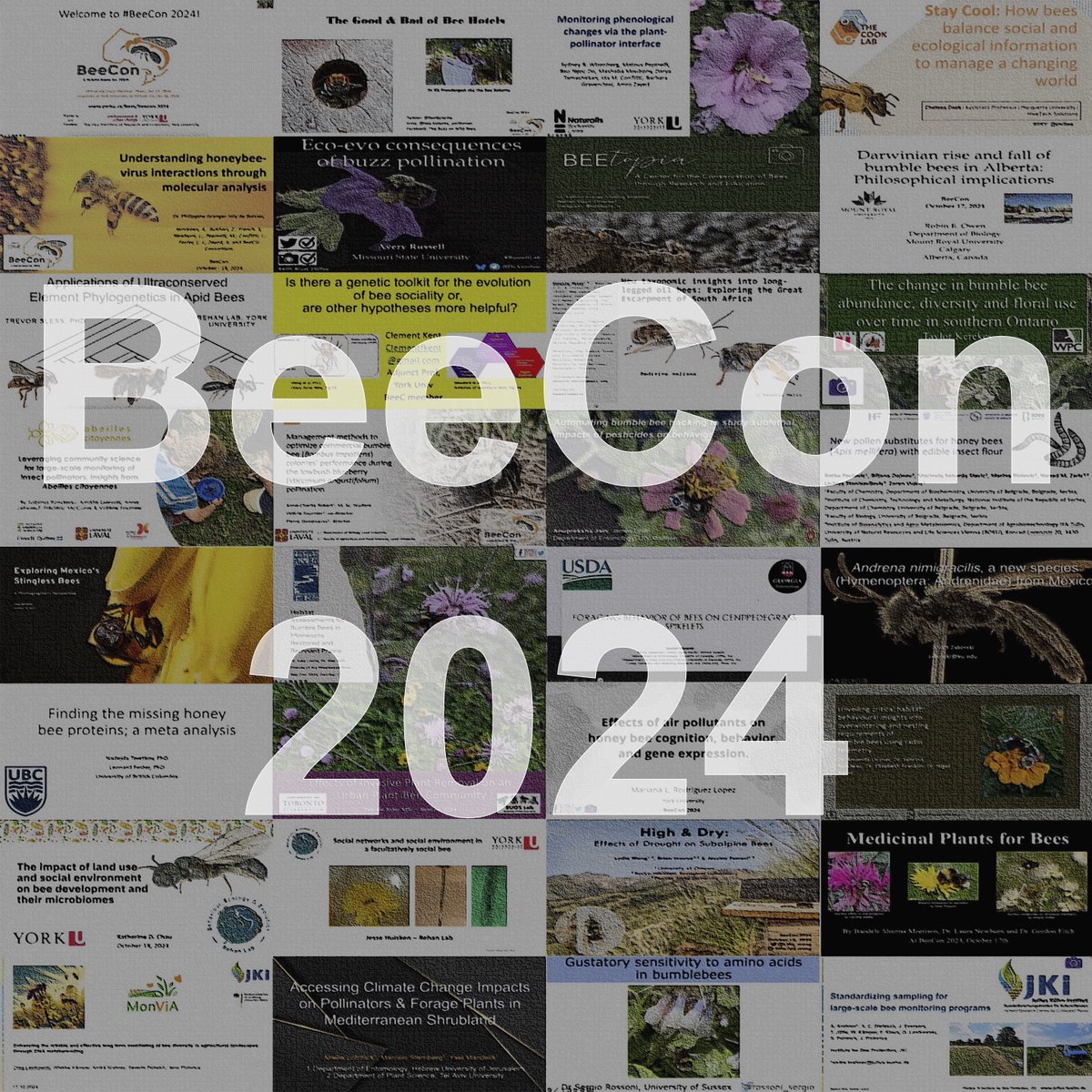 BeesYU (@beesyork) on Twitter photo That time you have all been waiting for has arrived: the #BeeCon 2024 videos are available online for your viewing pleasure on our event website or our YouTube channel. Thanks to our volunteers & funders!
<a href="/YorkUEUC/">Faculty of Environmental and Urban Change</a>
<a href="/YorkUScience/">YorkU - Science</a>
<a href="/YUResearch/">York U Research & Innovation</a>
#YorkU #BeeCon yorku.ca/bees/beecon-20โฆ That time you have all been waiting for has arrived: the #BeeCon 2024 videos are available online for your viewing pleasure on our event website or our YouTube channel. Thanks to our volunteers & funders!
<a href="/YorkUEUC/">Faculty of Environmental and Urban Change</a>
<a href="/YorkUScience/">YorkU - Science</a>
<a href="/YUResearch/">York U Research & Innovation</a>
#YorkU #BeeCon yorku.ca/bees/beecon-20โฆ