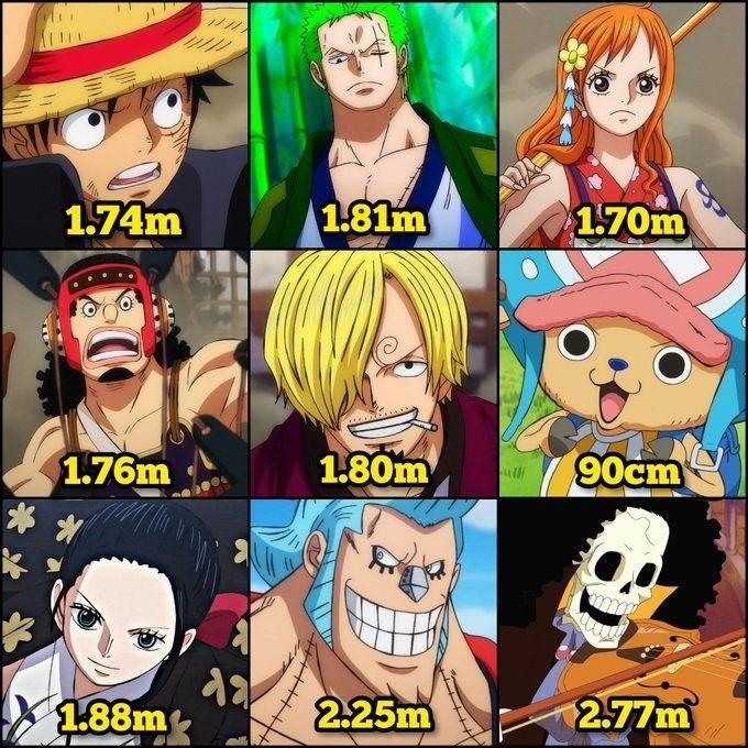 One Piece Daily tweet media