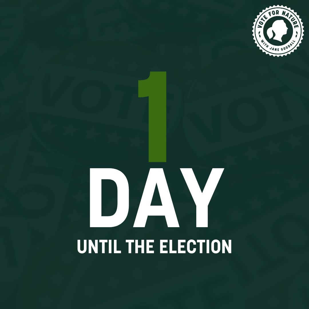 VoteForNature1's tweet photo. 📢 Tomorrow is the big day! It's your last chance to prepare and make a plan. Every vote matters, and together we can drive change. Let’s make history! 🗳️💚 

#VoteForNature #ElectionDayEve #ElectionCountdown #EveryVoteCounts #ProtectOurPlanet https://t.co/eMSurjN3Z4