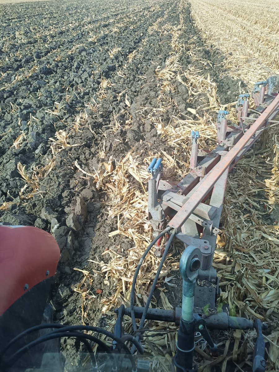 Back to plowing